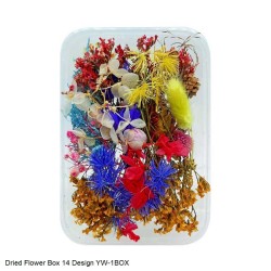 Dried Flower Box 14 Design YW 1Box by JAGS