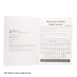 Learning to Read - Single Sounds Novel Education Worksheets