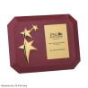 Momento No 49-445 Ruby with 3 Golden Star