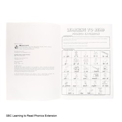 Learning to Read Phonics Extension - Novel Educational Worksheets Age 7+