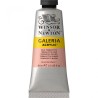 Winsor & Newton Galeria Acrylic Color 60ml - Group of Brown Shades