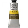 Winsor & Newton Galeria Acrylic Color 60ml - Group of Brown Shades