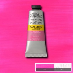 Winsor & Newton Galeria Acrylic Color 60ml - Group of Pink Shades