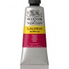 Winsor & Newton Galeria Acrylic Color 60ml - Group of Red Shades
