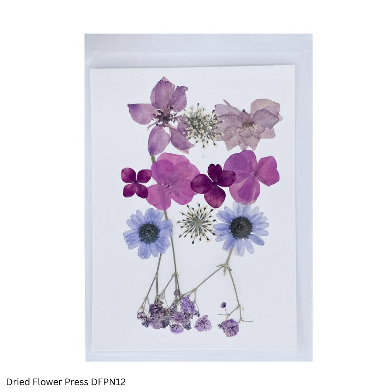 JAGS Dried Flower Press JFPN12 for Resin Art