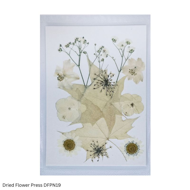 JAGS Dried Flower Press JFPN19 for Resin Art
