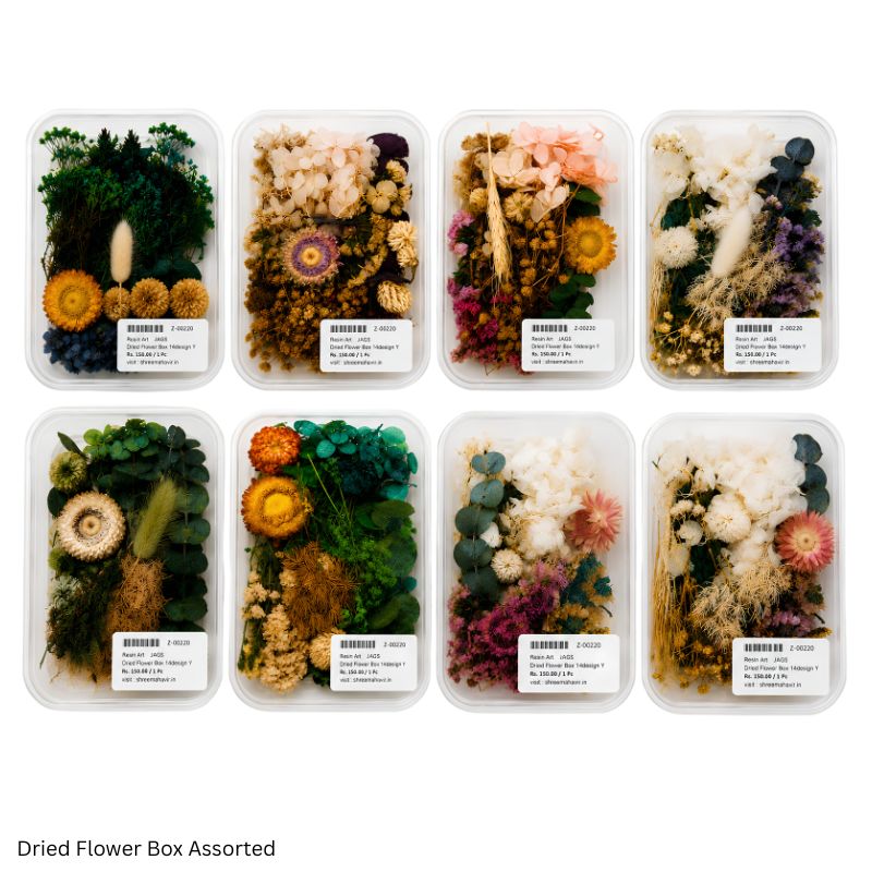 JAGS Assorted Dried Flower Box for Resin Art and DIY Crafts