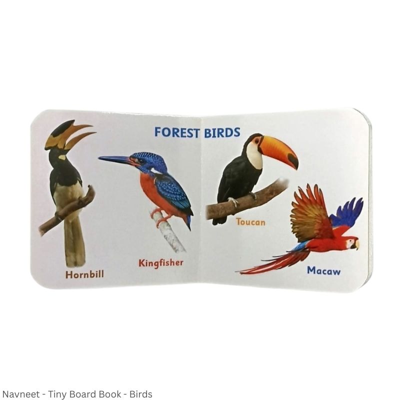 Navneet Tiny Picture Board Book – Colourful Early Learning Book for Kids | ABC, Numbers, Animals, Fruits & More