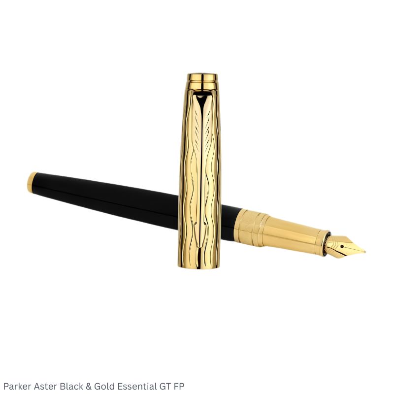 Parker Aster Black & Gold Essentials Gold Trim Fountain Pen Medium Point
